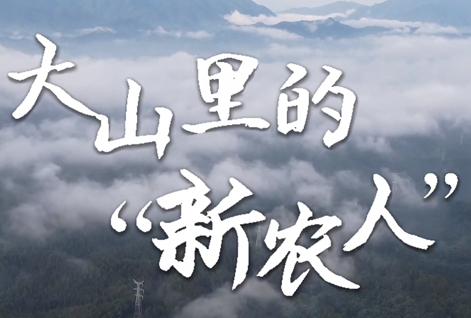 新農(nóng)人 封面.jpg